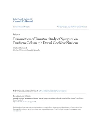 Examination of Tinnitus: Study of Synapses on Fusiform Cells in the Dorsal Cochlear Nucleus Stephanie Bouanak John Carroll University, Sbouanak15@Jcu.Edu