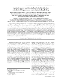 Myenteric Plexus Is Differentially Affected by Infection with Distinct Trypanosoma Cruzi Strains in Beagle Dogs