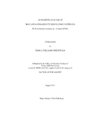 GREENWALD-DISSERTATION.Pdf