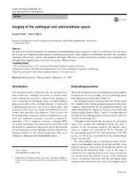 Imaging of the Sublingual and Submandibular Spaces