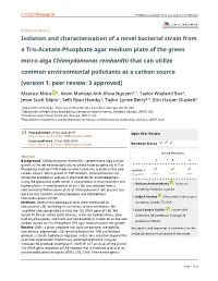 Isolation and Characterization of a Novel Bacterial Strain From