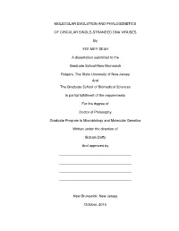 MOLECULAR EVOLUTION and PHYLOGENETICS of CIRCULAR SINGLE-STRANDED DNA VIRUSES by YEE MEY SEAH a Dissertation Submitted To