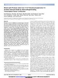 Mutant P53 Protects Cells from 12-O-Tetradecanoylphorbol-13- Acetate–Induced Death by Attenuatingactivating Transcription Factor 3 Induction