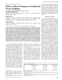 Effects of Root Pruning on Germinated Pecan Seedlings