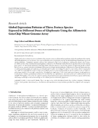 Global Expression Patterns of Three Festuca Species Exposed to Different Doses of Glyphosate Using the Affymetrix Genechip Wheat Genome Array