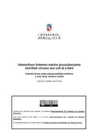 Interactions Between Marine Picoeukaryotes and Their Viruses One Cell at a Time