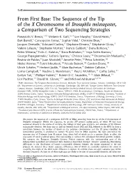 The Sequence of the Tip of the X Chromosome of Drosophila Melanogaster, a Comparison of Two Sequencing Strategies