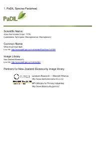 1. Padil Species Factsheet Scientific Name: Common Name Image Library Partners for New Zealand Biosecurity Image Library