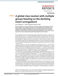A Global Class Reunion with Multiple Groups Feasting on the Declining Insect Smorgasbord Eero J