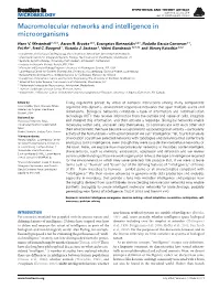 Macromolecular Networks and Intelligence in Microorganisms