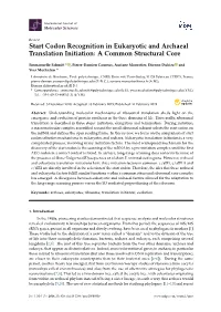 Codon Recognition in Eukaryotic and Archaeal Translation Initiation: a Common Structural Core