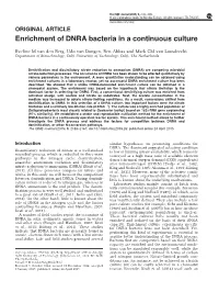 Enrichment of DNRA Bacteria in a Continuous Culture