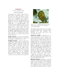 EPIDOTE 3+ Ca2(Fe ,Al)3(Sio4)3(OH) (See Also Clinozoisite) an Abundant and Common Mineral Either of Hydrothermal Or Metamorphic Origin