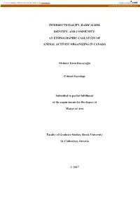 Intersectionality, Radicalism, Identity, And
