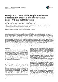 The Origin of the Tibetan Mastiff and Species Identiﬁcation of Canis Based on Mitochondrial Cytochrome C Oxidase Subunit I (COI) Gene and COI Barcoding
