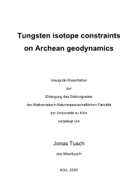 Tungsten Isotope Constraints on Archean Geodynamics