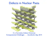 Defects in Nuclear Pasta David Reagan David