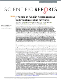 The Role of Fungi in Heterogeneous Sediment Microbial Networks