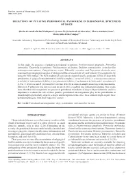 Detection of Putative Periodontal Pathogens in Subgingival Specimens of Dogs