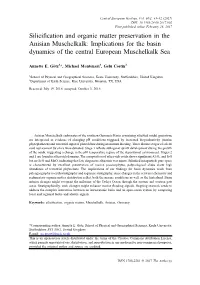 Silicification and Organic Matter Preservation In