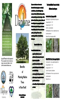 Appendix J-Brochure Benefits to Planting Native Trees