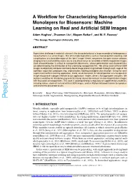 Machine Learning on Real and Artificial SEM Images