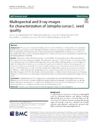 Multispectral and X-Ray Images for Characterization of Jatropha Curcas