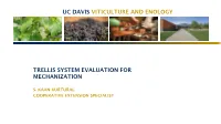 Uc Davis Viticulture and Enology Trellis System
