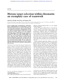 Histone Target Selection Within Chromatin: an Exemplary Case of Teamwork