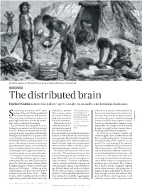 The Distributed Brain Herbert Gintis Salutes the Follow-Up to a Study on Sociality and Hominin Brain Size