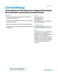 Computational Fluid Dynamics Suggests Ecological Diversification