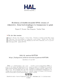 Evolution of Double-Stranded DNA Viruses of Eukaryotes: from Bacteriophages to Transposons to Giant Viruses Eugene V