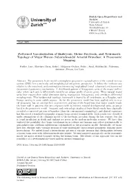 Patterned Vascularization of Embryonic Mouse Forebrain, and Neuromeric Topology of Major Human Subarachnoidal Arterial Branches: a Prosomeric Mapping