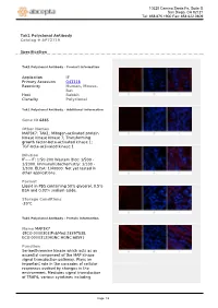 Tak1 Polyclonal Antibody Catalog # AP72719
