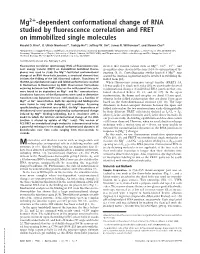 Dependent Conformational Change of RNA Studied by Fluorescence Correlation and FRET on Immobilized Single Molecules