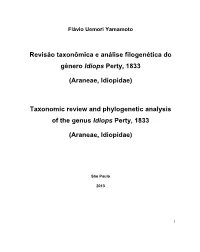 Flavio Yamamoto SIMPL.Pdf
