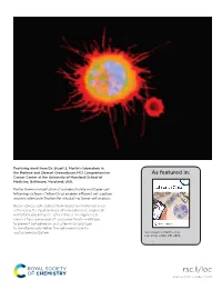 View PDF Version