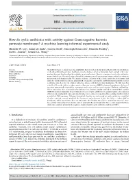 How Do Cyclic Antibiotics with Activity Against Gram-Negative Bacteria Permeate Membranes? a Machine Learning Informed Experimental Study Michelle W