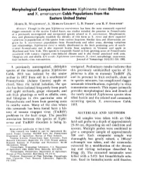 Morphological Comparisons Between Xiphinema Rivesi Dalmasso and X