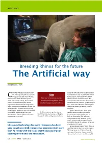 The Artificial Way