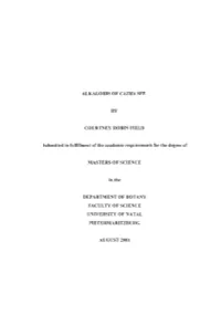 Alkaloids of Catha Spp. by Courtney Robin Field