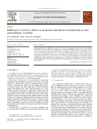 As an Invader and Threat to Biodiversity in Arid Environments: a Review