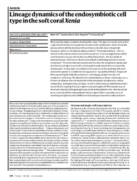 Lineage Dynamics of the Endosymbiotic Cell Type in the Soft Coral Xenia