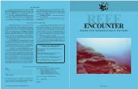 Reef Encounter 32