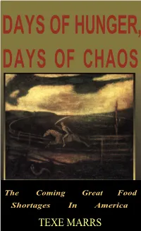 Days of Hunger, Days of Chaos (1999)