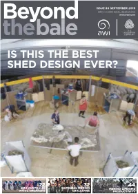 Is This the Best Shed Design Ever?