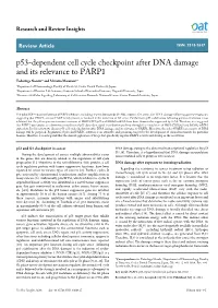 P53-Dependent Cell Cycle Checkpoint After DNA Damage and Its