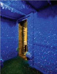 "He" Had Me at Blue: Color Theory and Visual
