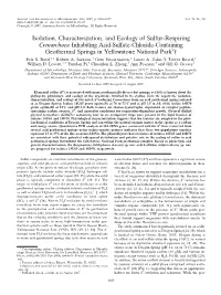 Isolation, Characterization, and Ecology