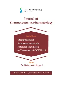 The Sars-Cov-2 Viroporin E and Its Interaction with Amantadine an Analysis